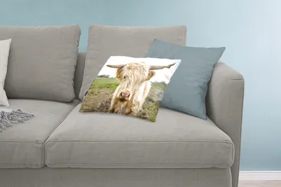 Produktbild von MuchoWow® Zierkissen Sofakissen Wohnzimmer Dekokissen 60x40 cm Schottische Hochlandrind - Licht - Landschaft - Kopfkissen - Polster mit Foto