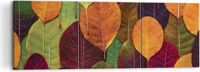 Produktbild von Bild auf Leinwand - Leinwandbild - 3 Teile - Herbst Blätter Grafiken - 120x40cm - Wand Bild - Wanddeko - Wandbilder - Leinwanddruck - Bilder - Wanddekoration - Leinwand bilder - CA120x40-4635