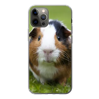 Produktbild von MuchoWow® Handyhülle Schutzhülle Hülle für iPhone 12 Pro Zwei Meerschweinchen Silikon Softcase Handy Hülle - Abdeckung