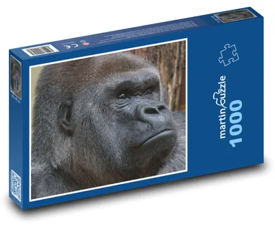 Obrázok produktu pre Puzzle 1000 Gorila - majestátny primát - martinpuzzle