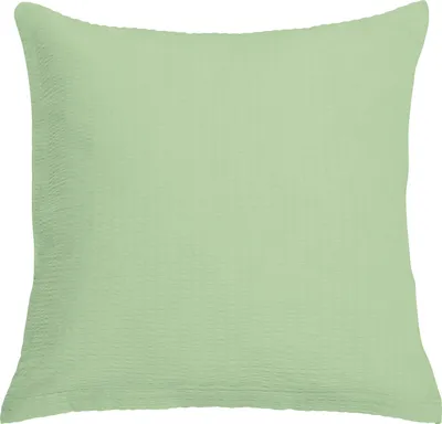 Produktbild von Erwin Müller Kuschelkissenbezug Wertingen" jade 40x40 cm"