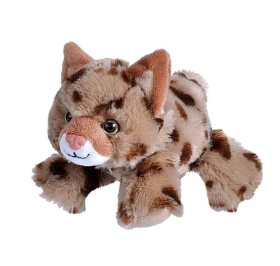 A plush toy lynx is shown against a white background.