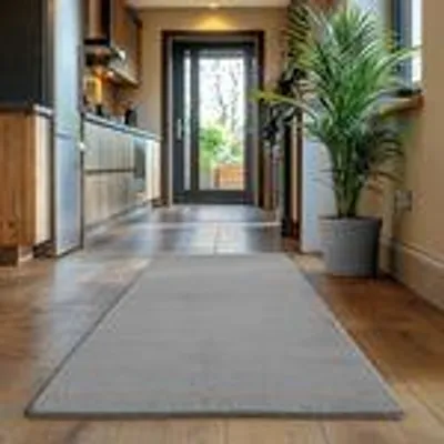 A hallway with a rug in the foreground and a plant in a pot on the right.
