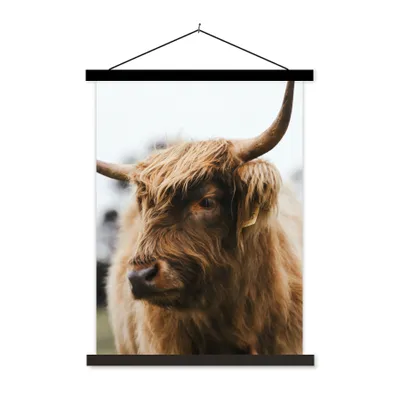 Produktbild von MuchoWow® Textilposter Schottischer Highlander - Tiere - Hörner 60x80 cm mit schwarzem Rahmen - Plakathalter
