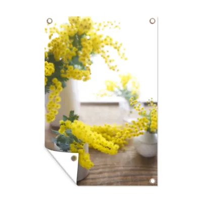 Obrázek produktu pro MuchoWow® Zahradní plakáty - Květiny akácie v květináčích v obývacím pokoji - 90x60 cm - Zahradní dekorace