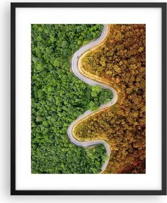 Produktbild von Gerahmtes Poster - Schwarzer Rahmen - Luftaufnahmen Weg Wald - 40x50 cm - Wand Bild - Wanddeko - Wandbilder - Kunstposter - Wandposter - Bilderrahmen - Bilder - Kunstdruck - P2BPA40x50-4659