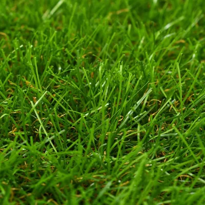 Obrázek produktu pro vidaXL Umělý trávník 1x2 m/30 mm zelený