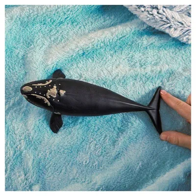 Produktbild von Figurine, Atlantikwal, Schleich 14878 Wild Life, Ab 5 Jahren