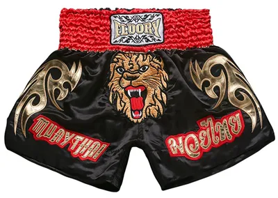 Produktbild von Muay Thai Fight Shorts - Hochwertige Trainingsshorts für Kickboxen
