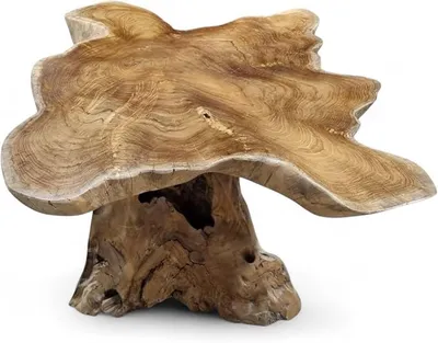 Productafbeelding van Salontafel met boomdoorsnede ALOR Setar - 100-120 cm. Salontafel van massief teakhout met een rustieke uitstraling. Het tafelblad is gemaakt van een dwarsdoorsnede van een teakboom (50 x 100-120 cm)