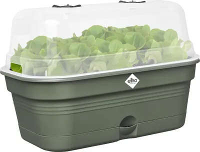 Image de Elho Green Basics bac de culture Allin1 L, vert feuillage