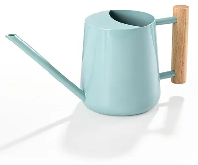 Gießkanne 1L Edelstahl mit langem Auslauf und Holzgriff, blau