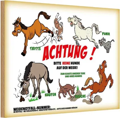 Produktbild von vianmo Holzschild 12x18 cm Achtung keine Hunde auf Weide Warnschild Hinweisschild