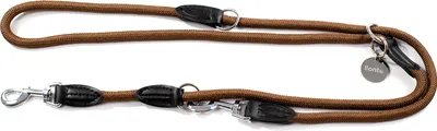 Produktbild von lionto Multifunktionsleine für Hunde, wetterfest, bis 200 cm, braun