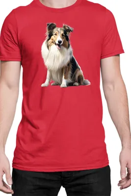 Immagine prodotto di Maglietta da uomo Dogs Breeds Dachshund Dog Breed 007, Man L , Rouge