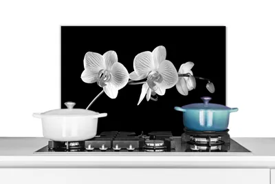 Produktbild von KitchenYeah® Spritzschutz Küche - Küchenrückwand - Wandschutz für Herd und Spüle - Orchidee - Blumen - Schwarz - Rosa - Knöpfe 60x40 - Alu-Dibond (Alternative zum Spritzschutz aus Glas) - Hitzebestän