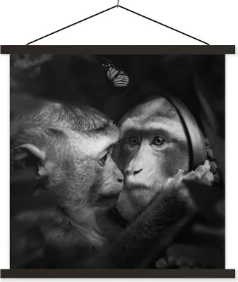 Produktbild von MuchoWow® Textilposter Tiere - Affen - Natur - Schwarz - Weiß 60x60 cm mit schwarzem Rahmen - Posteraufhänger