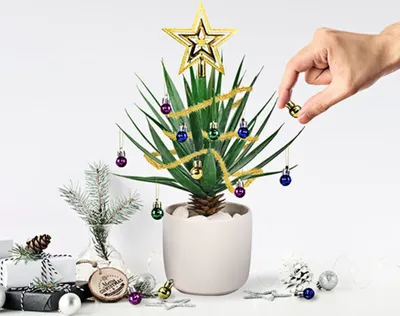 Produktbild von Mini Christbaumkugeln für Zimmerpflanzen im 10er Set