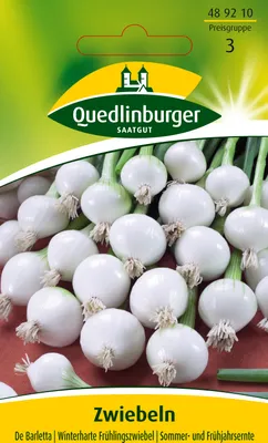 Produktbild von Zwiebel De Barletta | Zwiebelsamen von Quedlinburger