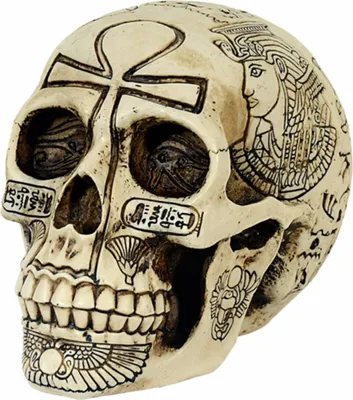 Produktbild von Ägyptischer Totenkopf reichlich verziert