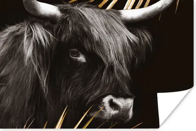 Produktbild von MuchoWow® Poster Schottischer Highlander - Gold - Schwarz - Weiß 120x80 cm - Bilder