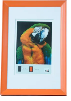 Immagine prodotto di Portafoto di tendenza 30x40 FRESH STYLE arancione