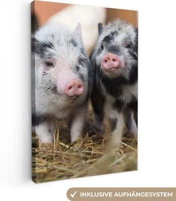 Zdjęcie produktu dla MuchoWow® - Obraz na płótnie - Świnia - Zwierzęta - Prosiaczek, fototapeta, dekoracja ścienna, obrazy do salonu, 40x60cm