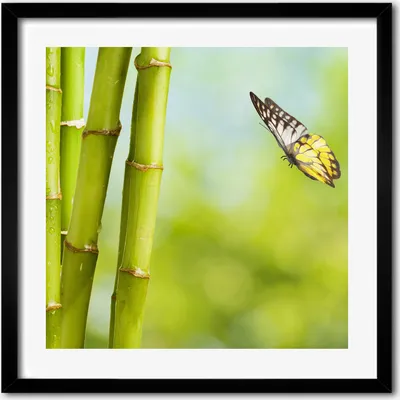 Produktbild von Bild - 50 cm x 50 cm - MDF - Rahmen, Wandkunst - Bambus und Schmetterling