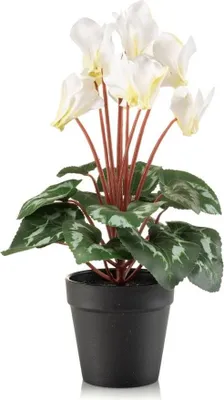Produktbild von artplants.de Kunstblumen Alpenveilchen VERIANA im Dekotopf, weiß-grün, 30cm - Künstliche Zyclamen
