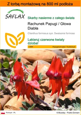 Zdjęcie produktu dla SAFLAX - Garden in the bag - Rachunek Papugi / Głowa Diabła - 20 Nasiona - Z podłożem uprawowym w praktycznej, samorozkładającej się torbie - Clianthus formosus syn. Swaisonia formosa