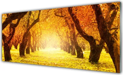 Produktbild von Acrylglasbilder 125x50 Wandbild Druck Wald Fußpfad Natur