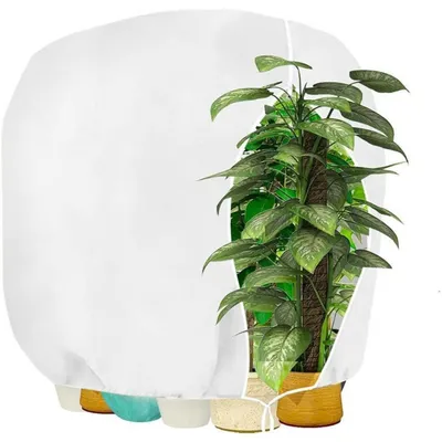 Produktbild von Winterschutzhaube für Pflanzen 160x180cm Weiß Reißverschluss Atmungsaktiv Reißfest