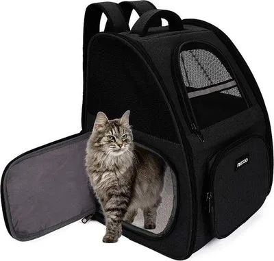 Produktbild von Kleintier-Transportbox 32x29x40cm für Katzen, Hunde