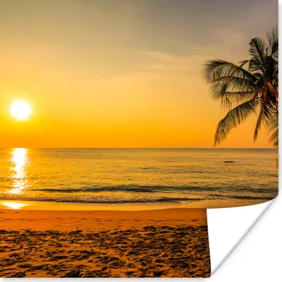 Produktbild von MuchoWow® Poster Palme - Strand - Sonnenuntergang - Meer 50x50 cm - Wohnzimmerdekoration