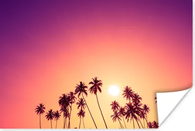 Produktbild von MuchoWow® Poster Sonne - Palme - Sommer 90x60 cm - Schlafzimmer