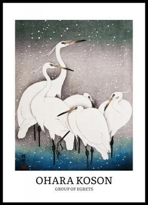 Immagine prodotto di Poster 50x70 cm Design Egrets, Koson Vintage per il salotto