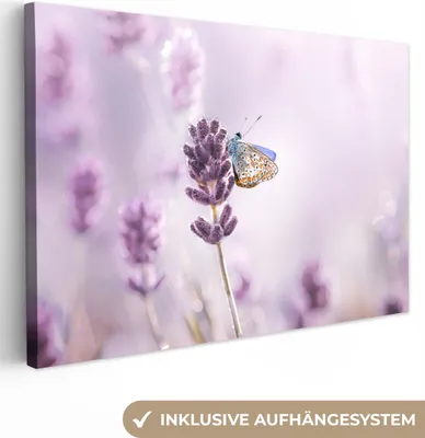 Produktbild von MuchoWow® - Leinwandbilder - Lavendel - Schmetterling - Nahaufnahme - Lila, Wandbild, Wanddeko Bilder Wohnzimmer, 120x80 cm