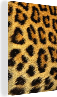 Obrázok produktu pre OneMillionCanvasses® - Obrazy na plátne - 90x140 cm, Kabát - Panter - Zvieratá, Nástenné umenie Tlač Dekorácie na stenu - Dekorácie na stenu - Spálňa