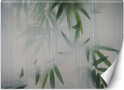 Zdjęcie produktu dla Fototapeta filzelinowa Liście mgła natura 250x175 cm Feeby Zielony klej w zestawie  łatwa w montażu