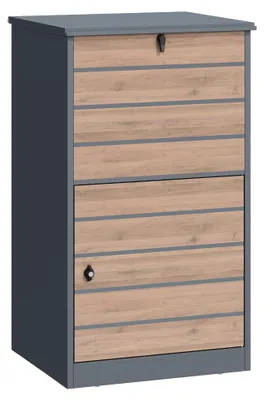 Imagen del producto de Caja para paquetes Zelsius, color nogal, antracita RAL 7016, acero con revestimiento en polvo, con sistema de cierre para la devolución