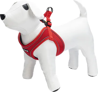 Produktbild von Beeztees Geschirr Premium Parinca Step-In rot, Verstellmöglichkeit: 41 - 46 cm