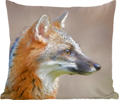 Produktbild von MuchoWow® Zierkissen Sofakissen Wohnzimmer Dekokissen 60x60 cm Fuchs - Makro - Braun - Sitzfläche - Foto Polster
