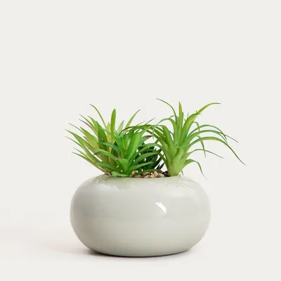 Zdjęcie produktu dla HOMLA Roślina sztuczna ACCIO sukulent w donicy 19 cm
