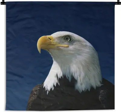 Produktbild von MuchoWow® Wandteppich Wandbehang Ein Weißkopfseeadler schaut in einen blauen Himmel 90x90 cm Tapisserie Dekoration Wandtuch - Wandaufhänger
