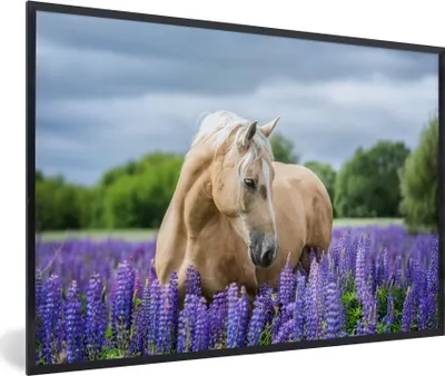Produktbild von MuchoWow® MuchoWow® Gerahmtes Poster Pferd - Blumen - Lila 30x20 cm - Poster mit zchwarzem Bilderrahmen - Kunstdruck - Bild-Poster