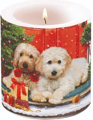Produktbild von ab 21.11.23 - Weihnachten – Kerze klein – Candle small – Format: Ø