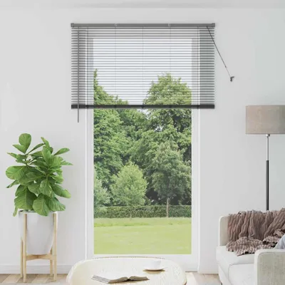 Obrázek produktu pro Žaluziové rolety Tmavě šedá 220 x 125 cm Hliník
