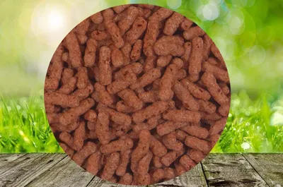 Produktbild von Teich Stick Premium Color 2 x 5 kg