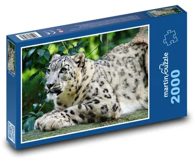 Produktbild von martinpuzzle - Puzzle 2000 Teile - Leopard