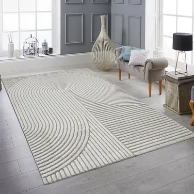 Image de Tapis de salon à motifs géométriques (lignes et arcs), gris, dimensions : 240 x 340 cm